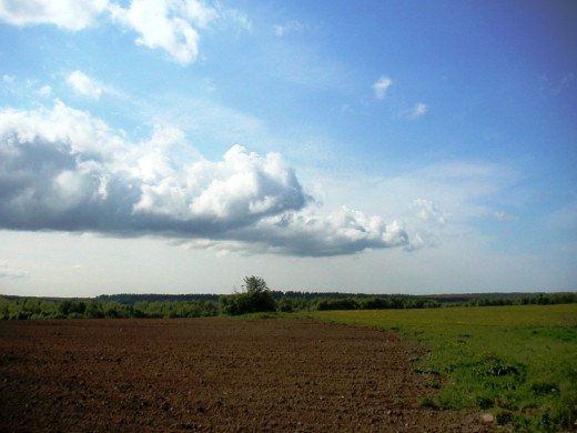 23650 (a): :1024x768